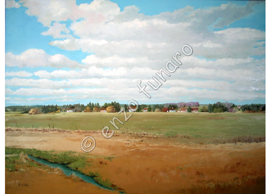  Fields and Meadows - Oil on Canvas by Enzo 